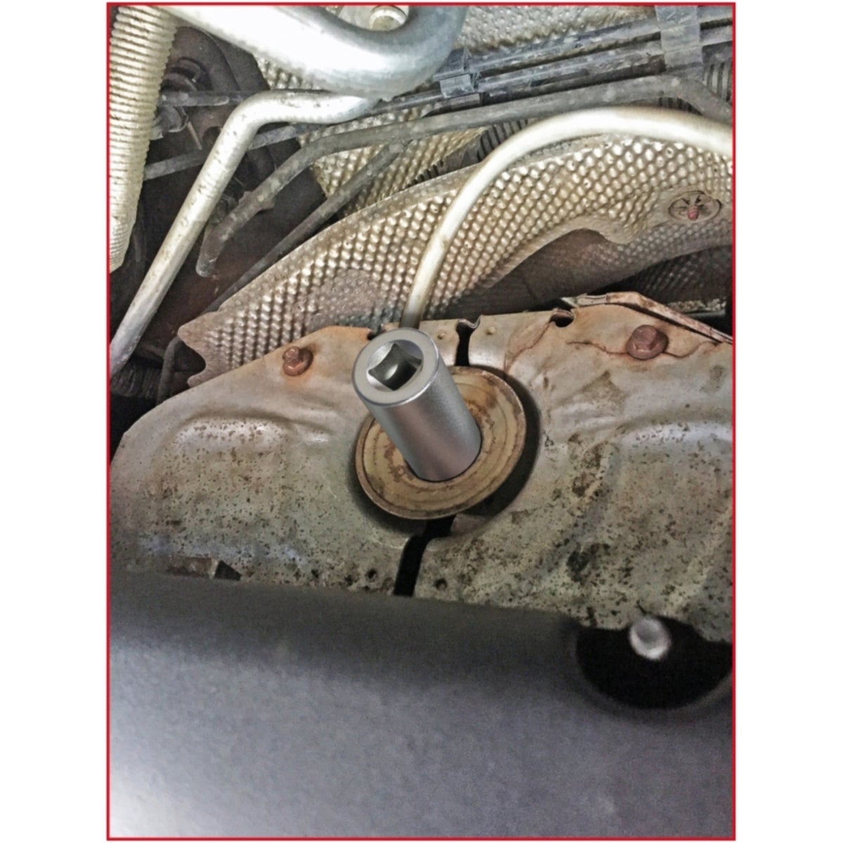 FOT_ANW_ALG_AUTO_150_2120_AW1_SALL_AING_V1