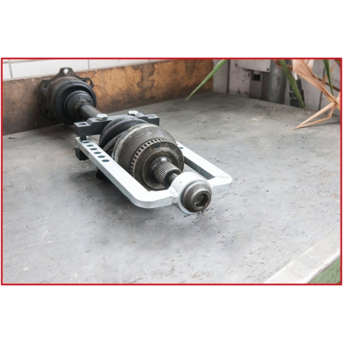 FOT_ANW_ALG_AUTO_150_1850_AW4_SALL_AING_V1