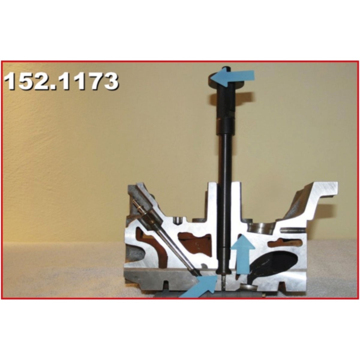 FOT_ANW_ALG_AUTO_152_1373_AW3_SALL_AING_V1