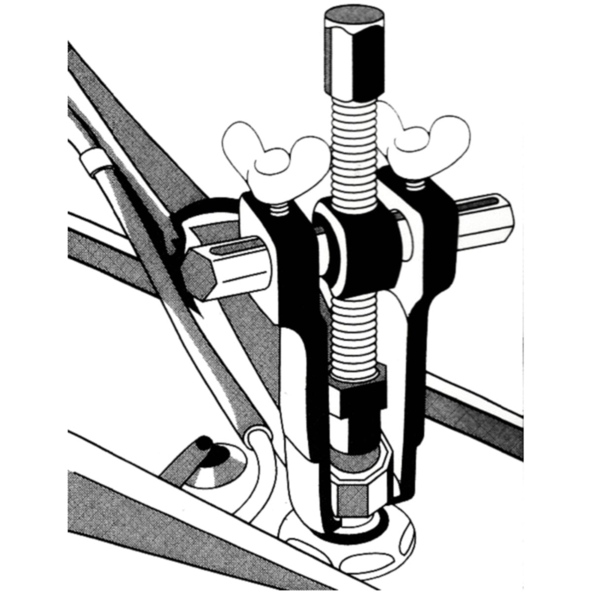 FOT_ANW_ALG_AUTO_700_1242_AW1_SALL_AING_V1