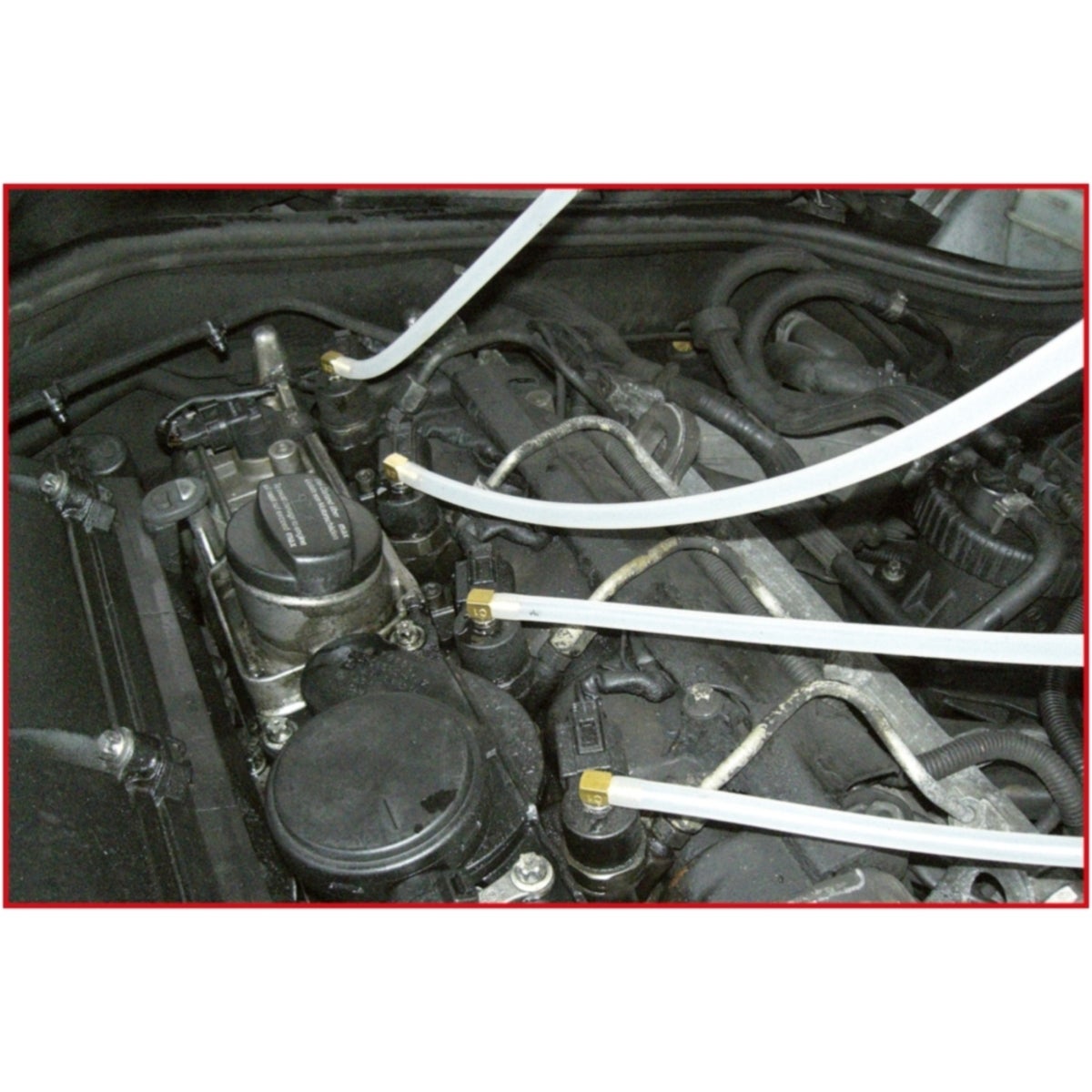 FOT_ANW_ALG_AUTO_150_1580_AW2_SALL_AING_V1