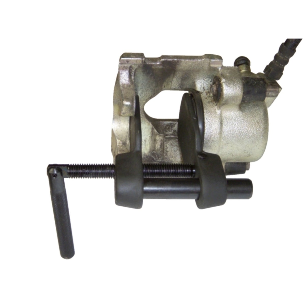 FOT_ANW_ALG_AUTO_150_2056_AW1_SALL_AING_V1