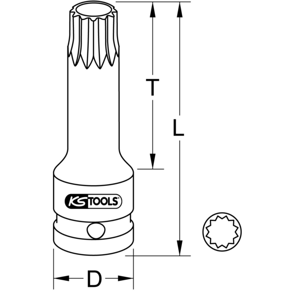 TECHZEI_515_117X_2-6__SALL_AQU_V1