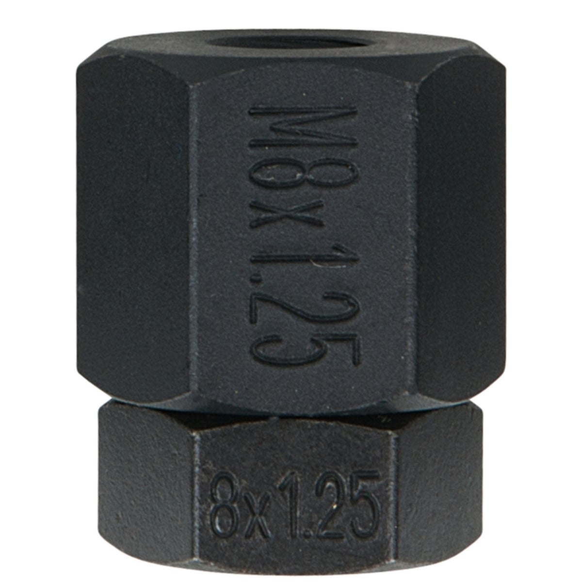 FOT_PRO_ALG_AUTO_670_025X_6-9__SALL_AING_V1
