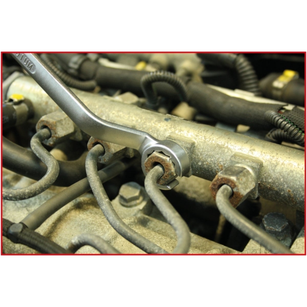 FOT_ANW_ALG_AUTO_517_0057_AW2_SALL_AING_V1