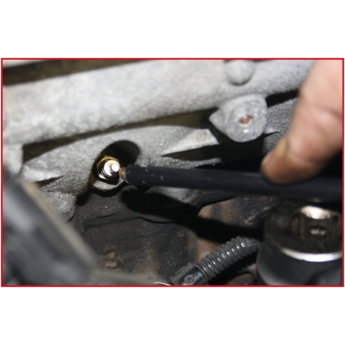 FOT_ANW_ALG_AUTO_550_1401_AW1_SALL_AING_V1
