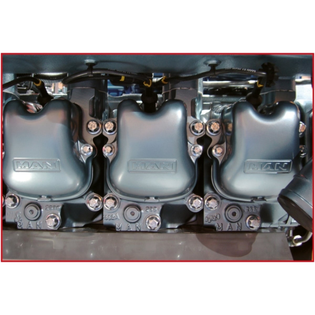 FOT_ANW_ALG_AUTO_455_0012_AW1_SALL_AING_V1