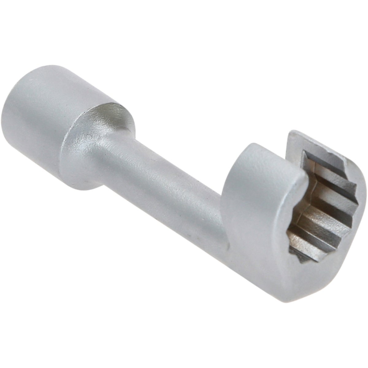 FOT_PRO_VAR_913_1215_2_SALL_AING_V1