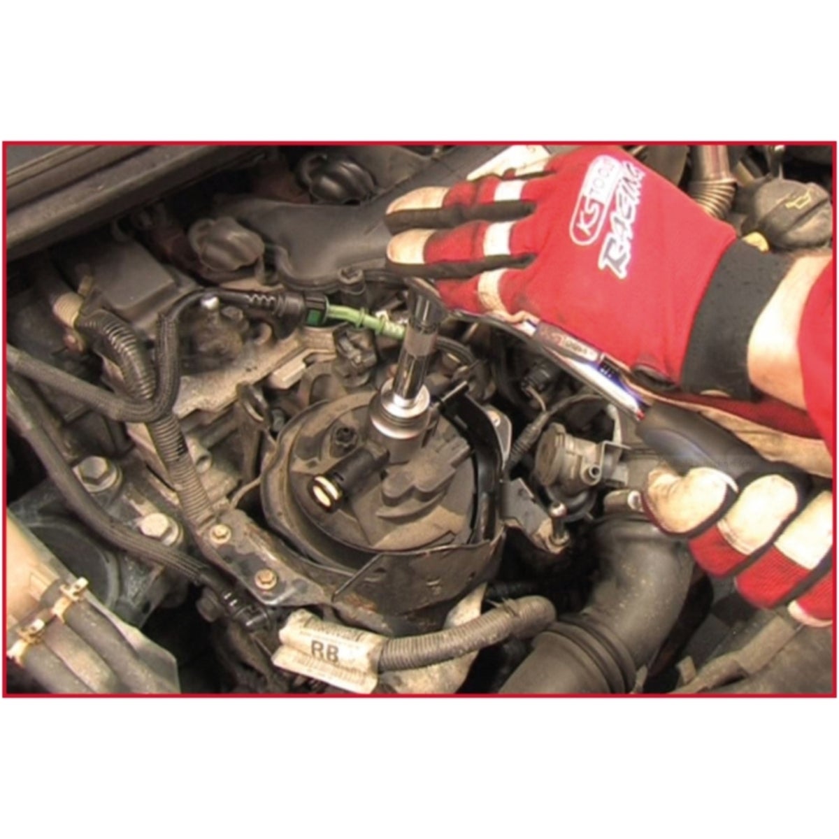 FOT_ANW_ALG_AUTO_150_3195_AW2_SALL_AING_V1