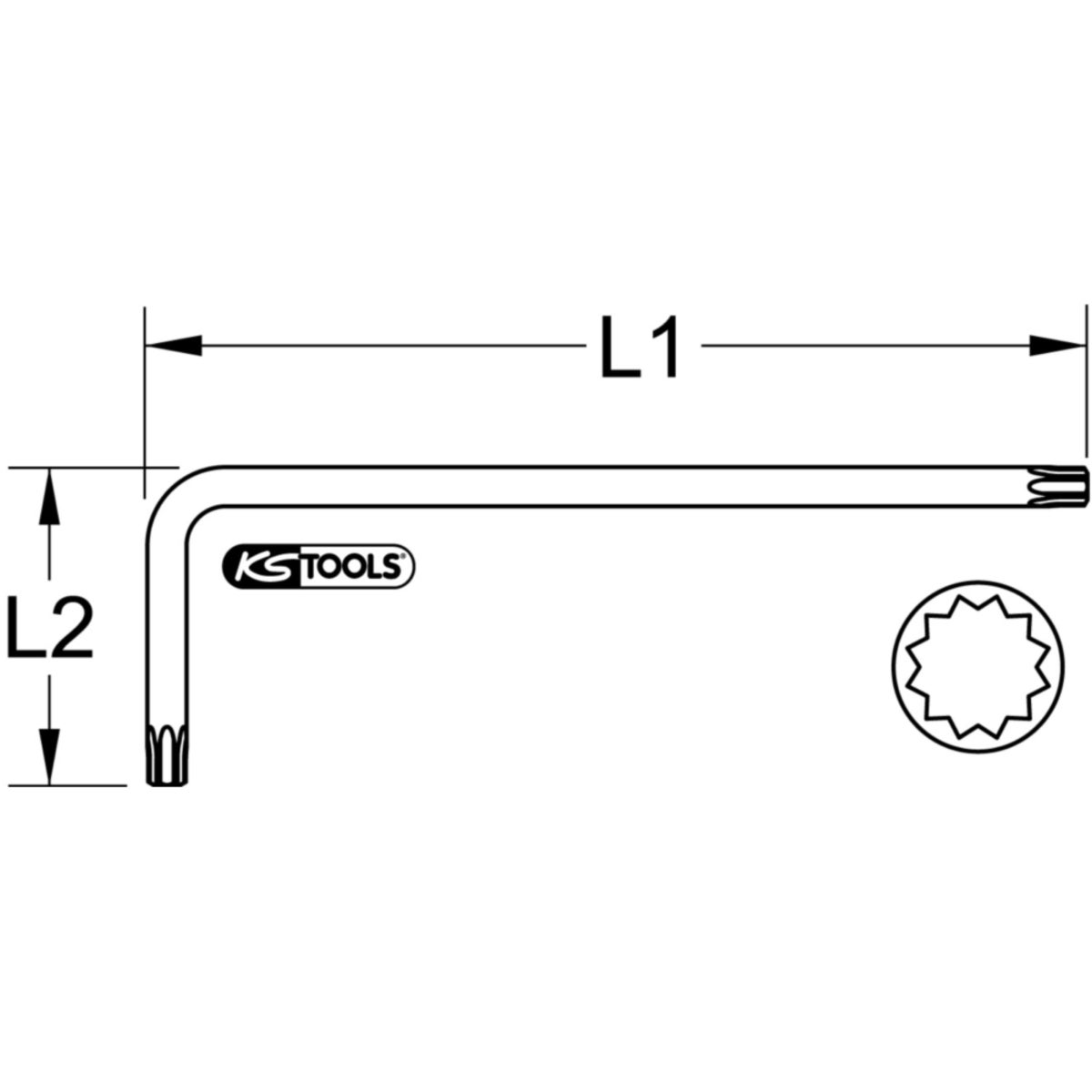 TECHZEI_151_410X_1-8__SALL_AQU_V1