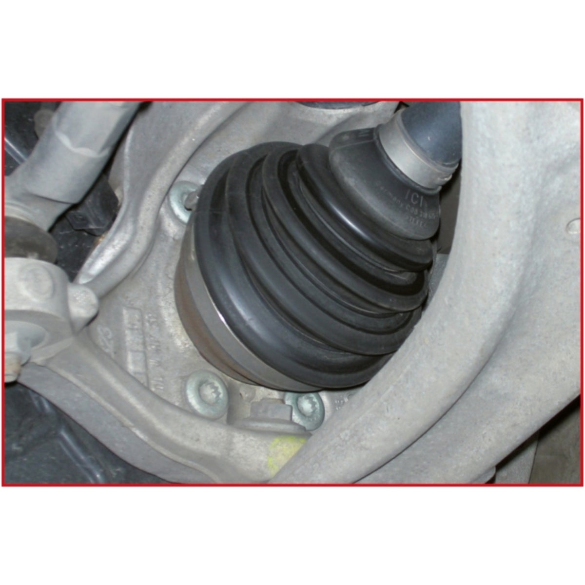 FOT_ANW_ALG_AUTO_515_1171_AW1_SALL_AING_V1