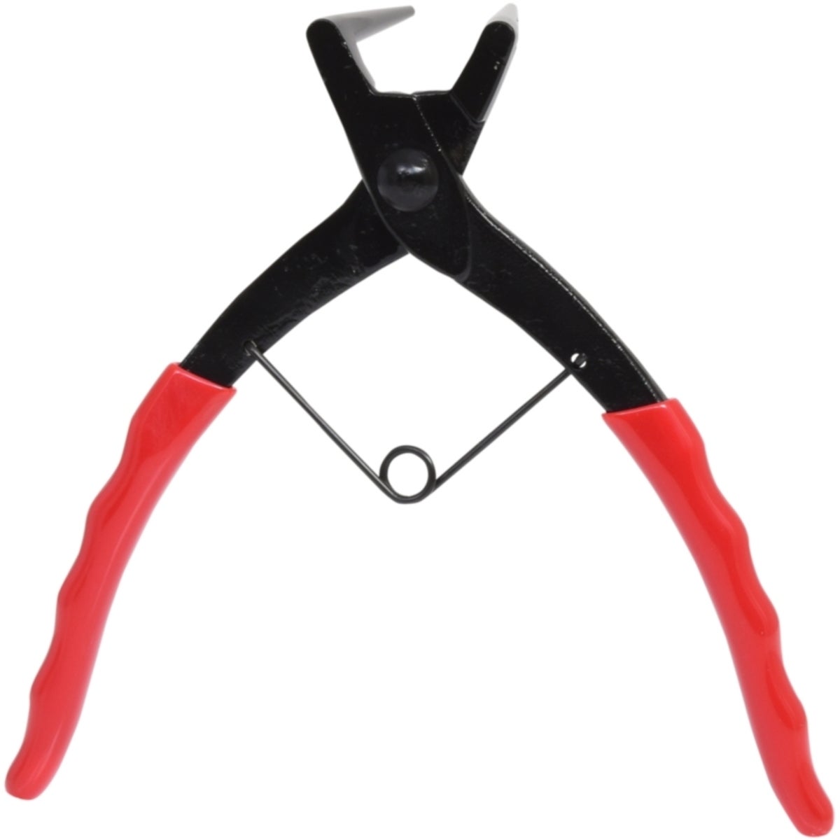 FOT_PRO_VAR_500_1037_2_SALL_AING_V1