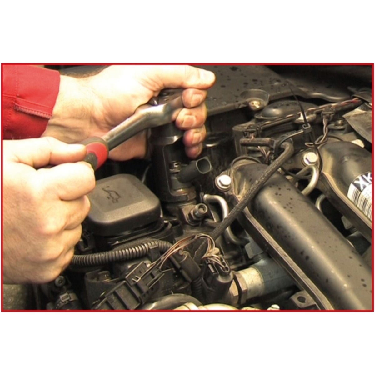 FOT_ANW_ALG_AUTO_152_1058_AW2_SALL_AING_V1