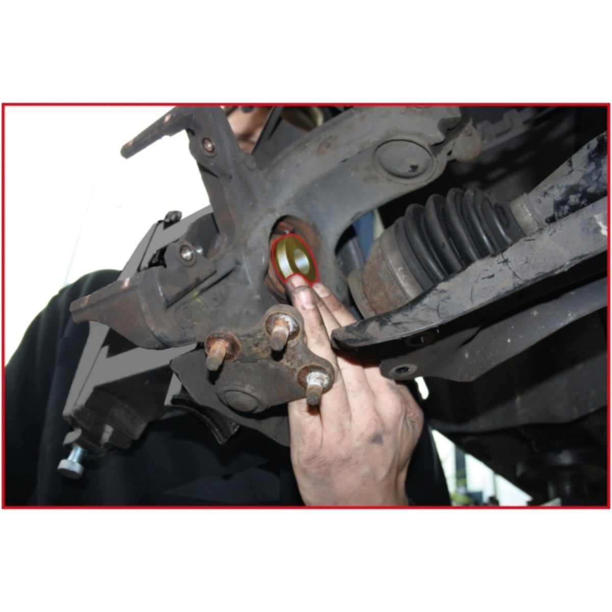 FOT_ANW_ALG_AUTO_440_0074_AW2_SALL_AING_V1