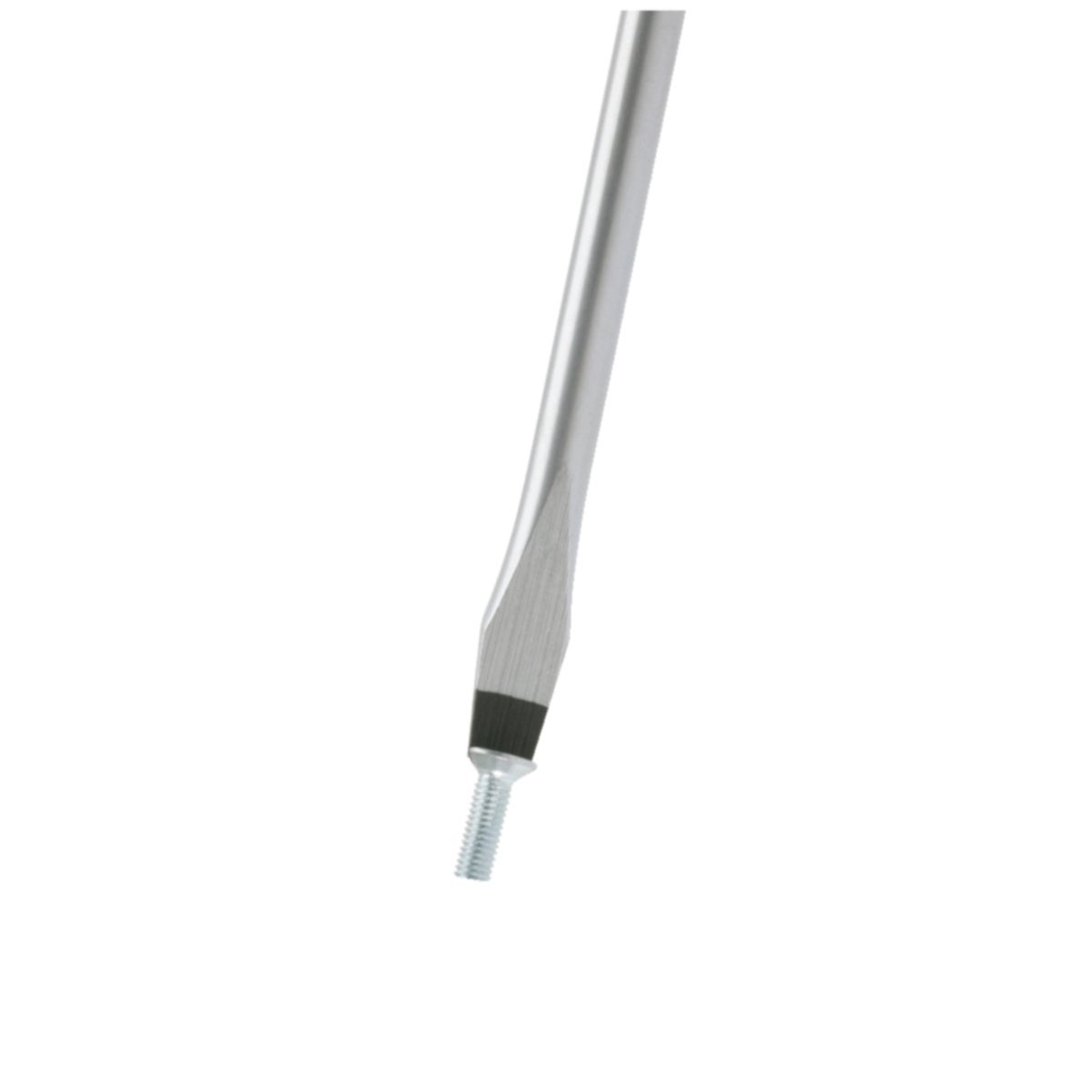 FOT_ANW_ALG_WZAL_550_1126_AW1_SALL_AING_V1