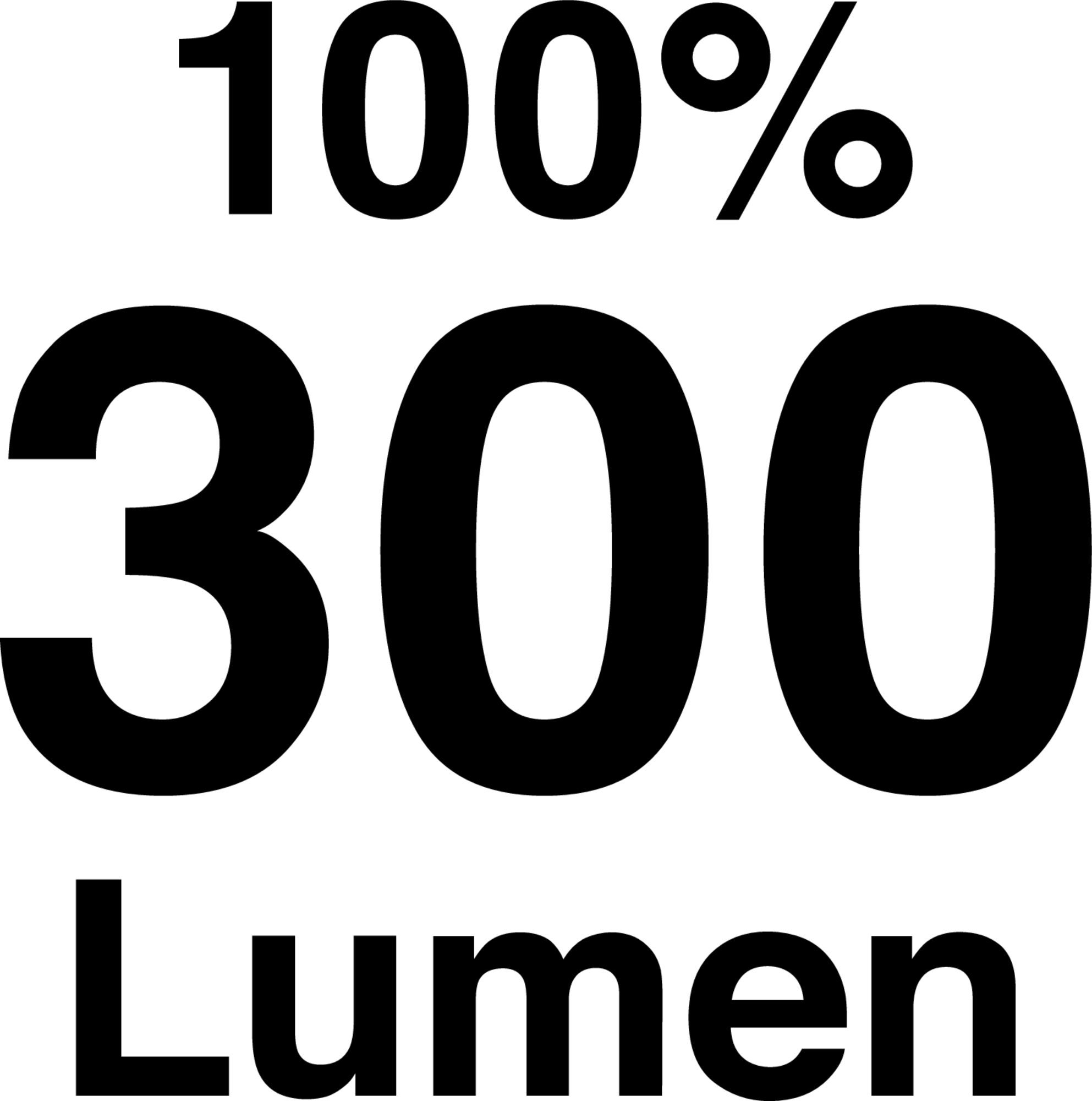 1979_piktogramm_300lumen