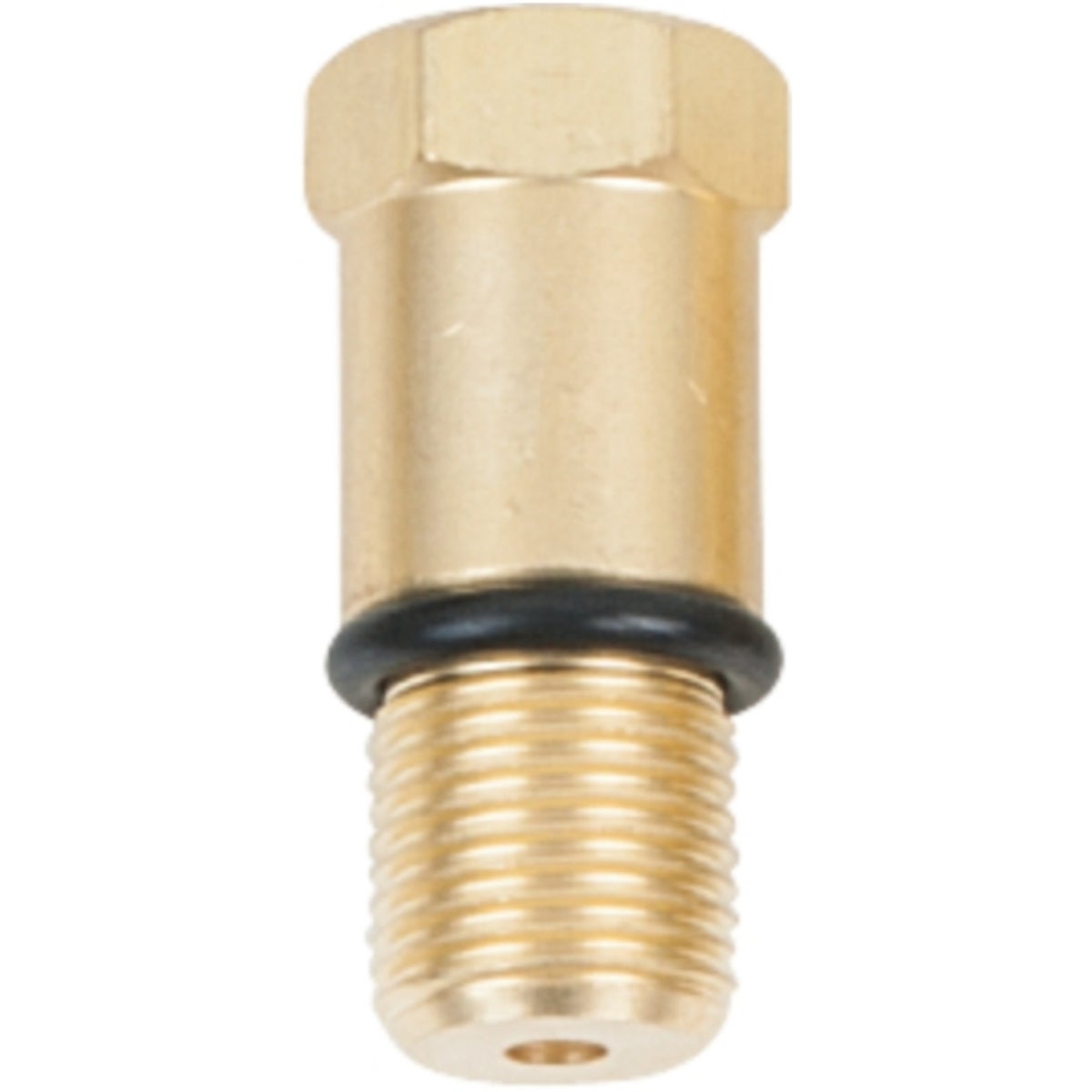 FOT_PRO_ALG_AUTO_152_203X_2-4__SALL_AING_V1