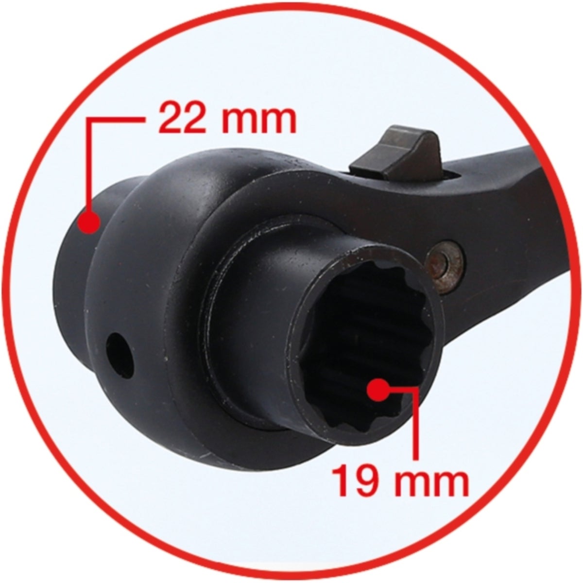 FOT_ANW_ALG_SCHL_522_1922_AW5_SALL_AING_V1