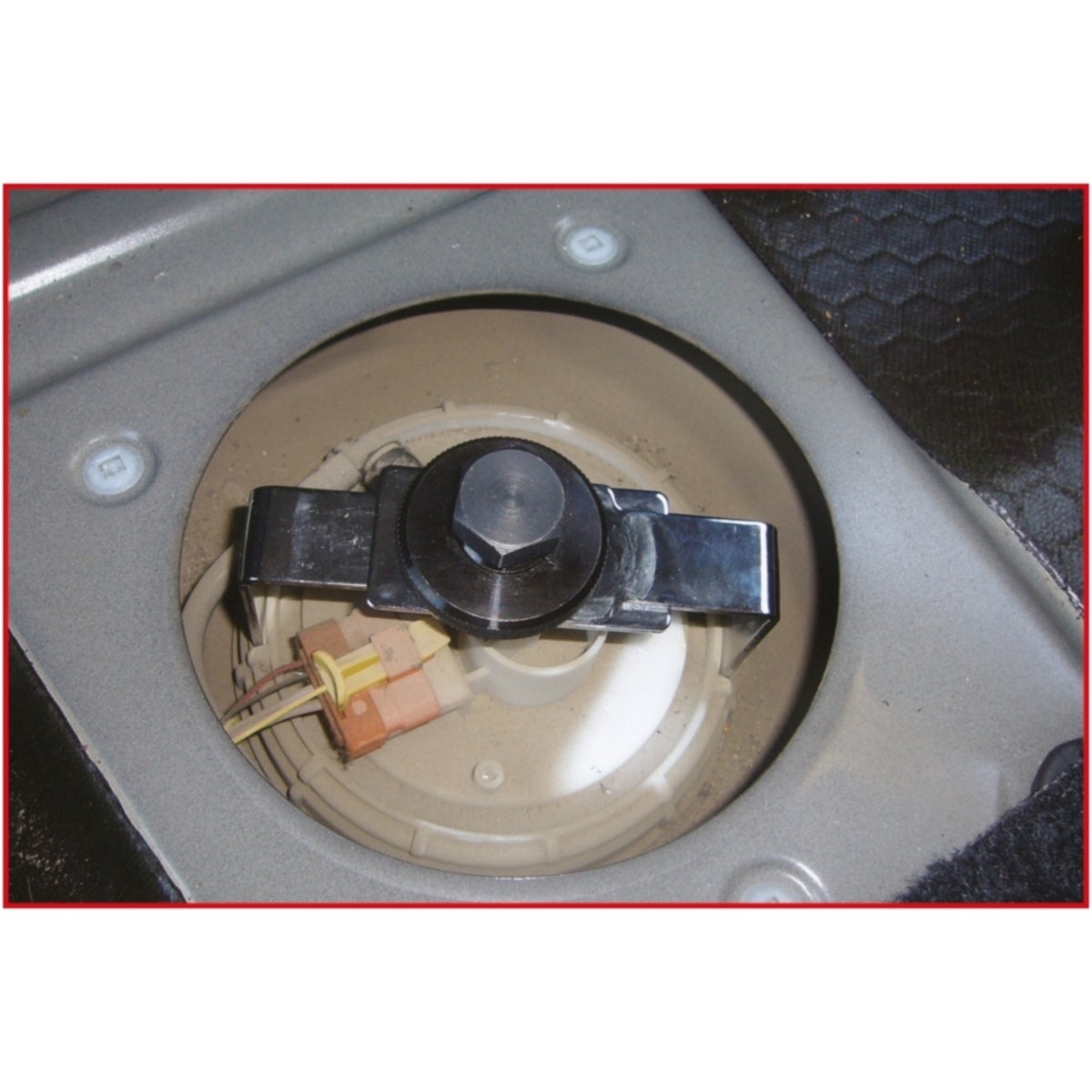 FOT_ANW_ALG_AUTO_150_938X_4-5__AW1_SALL_AING_V1