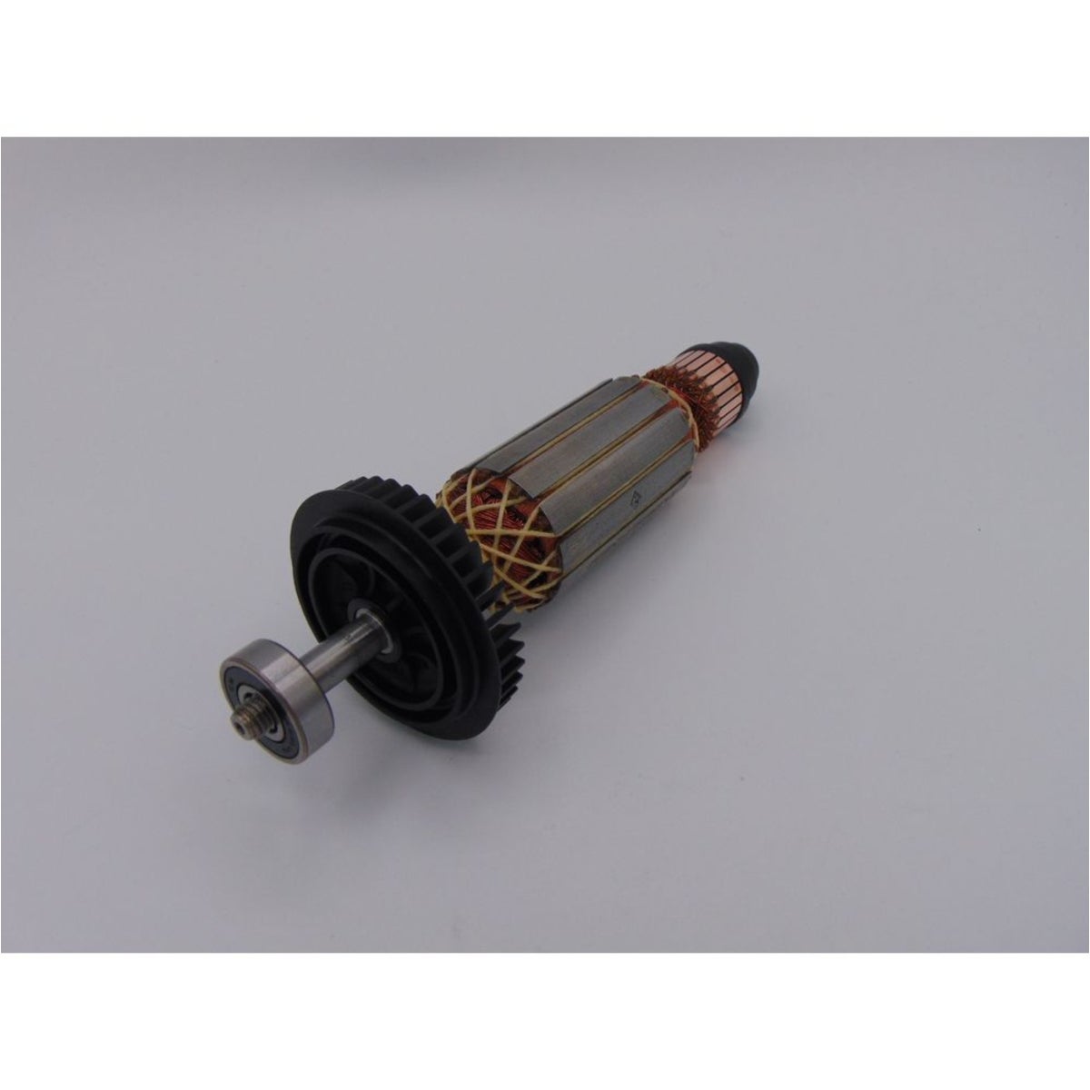 Bosch-Anker-mit-Lufter-1604010A22_03