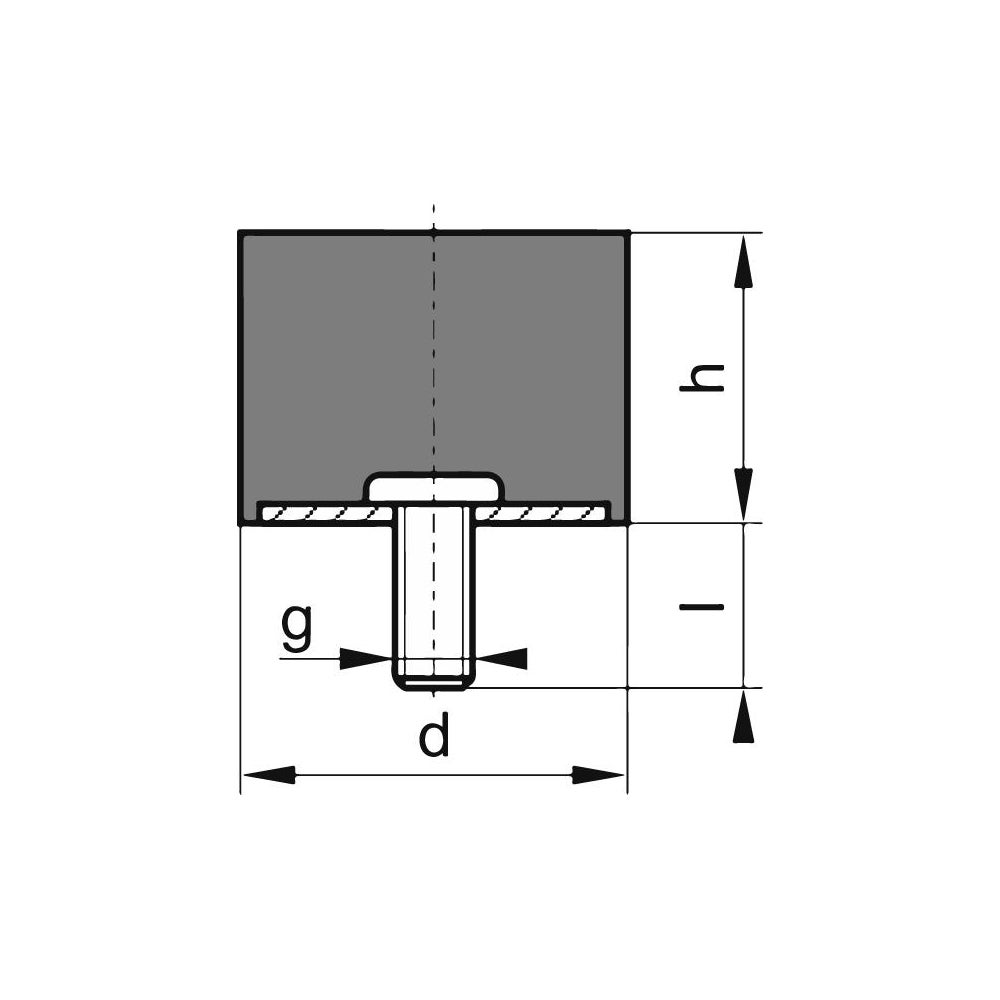 idt202818