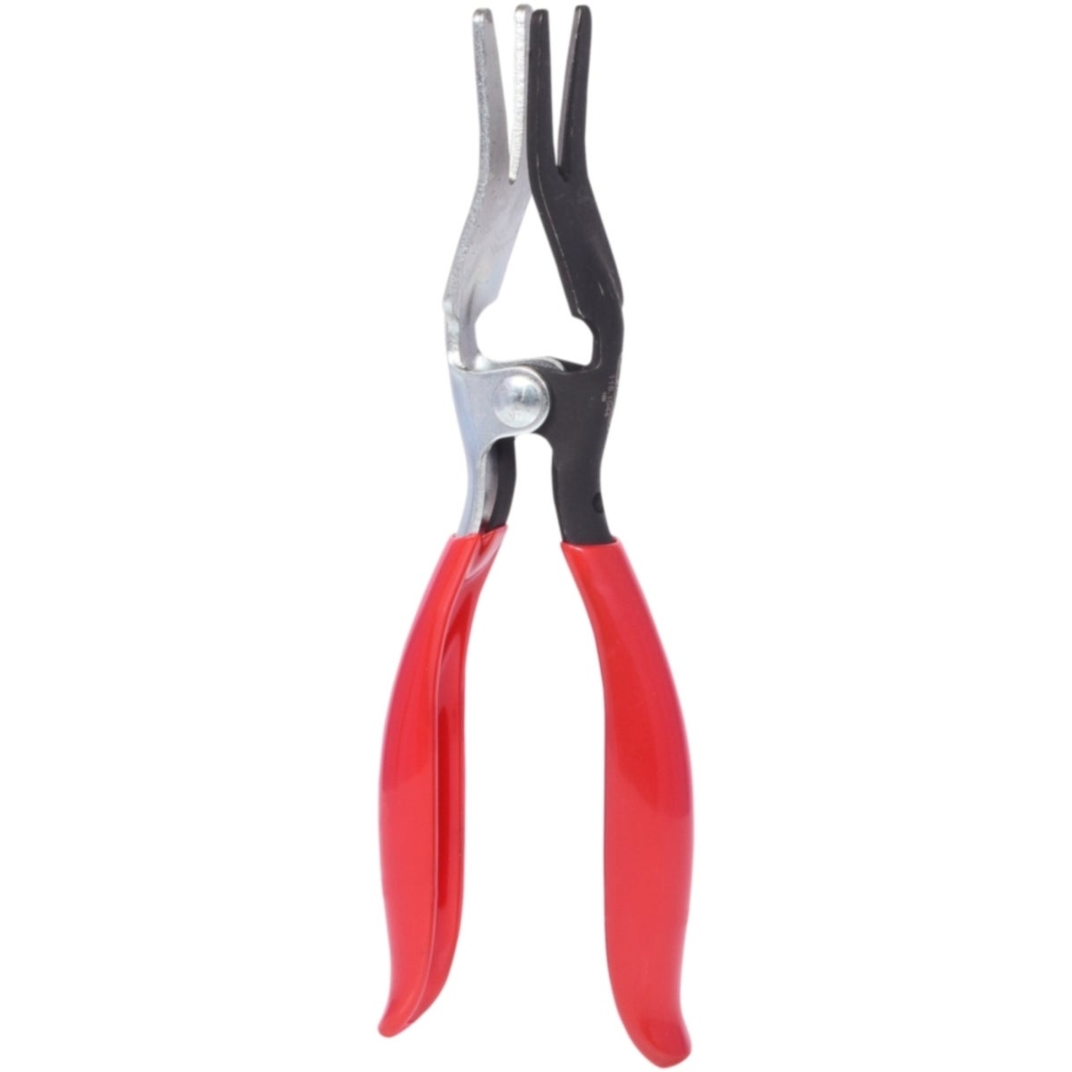 FOT_PRO_ALG_115_1044_SALL_AING_V1