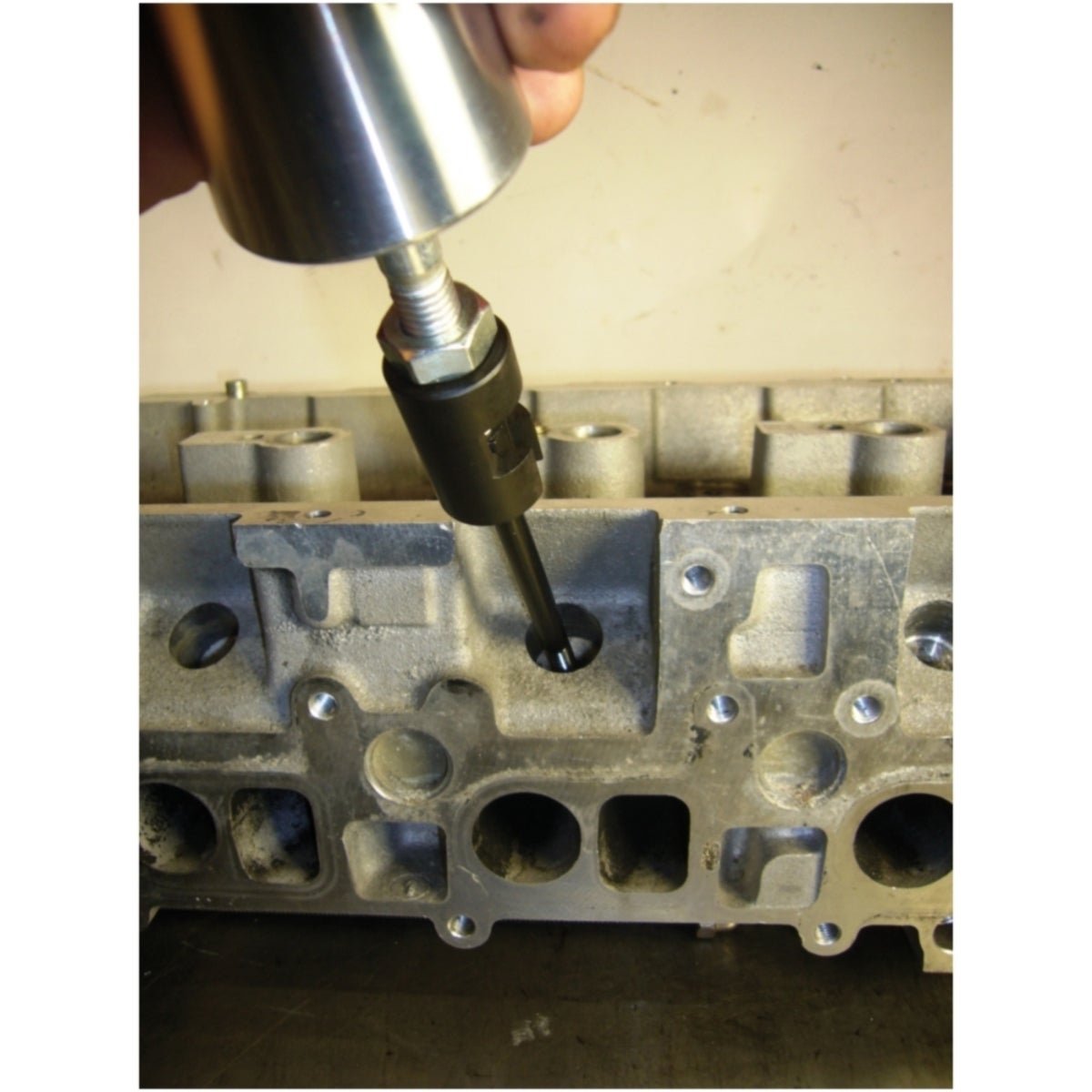 FOT_ANW_ALG_AUTO_152_1030_AW5_SALL_AQU_V1