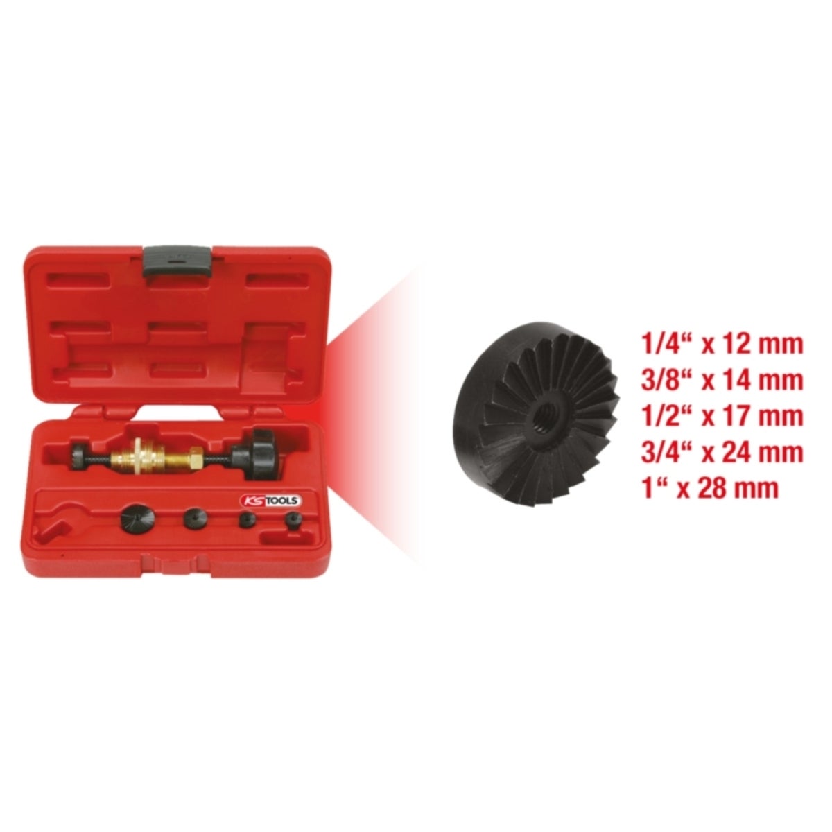 FOT_GES_ALG_136_1105_GB_SALL_AING_V1