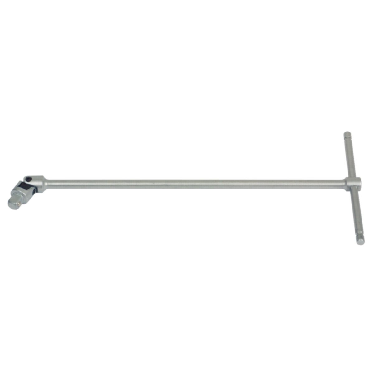 FOT_PRO_ALG_SCHL_517_112X_5-7__SALL_AING_V1