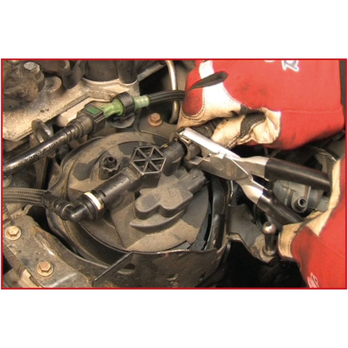 FOT_ANW_ALG_AUTO_115_1094_AW3_SALL_AING_V1