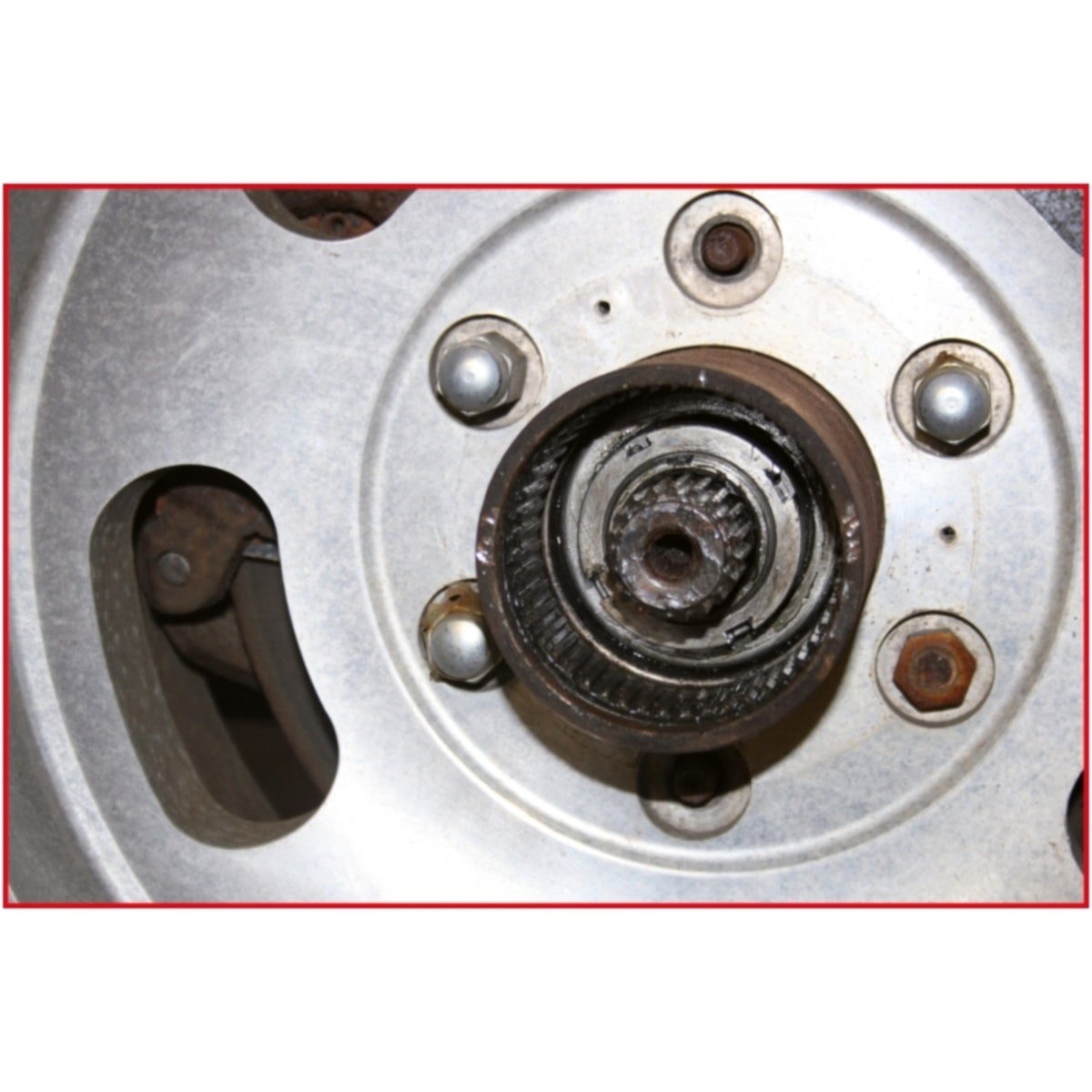 FOT_ANW_ALG_AUTO_450_50X0_0-2__AW2_SALL_AING_V1