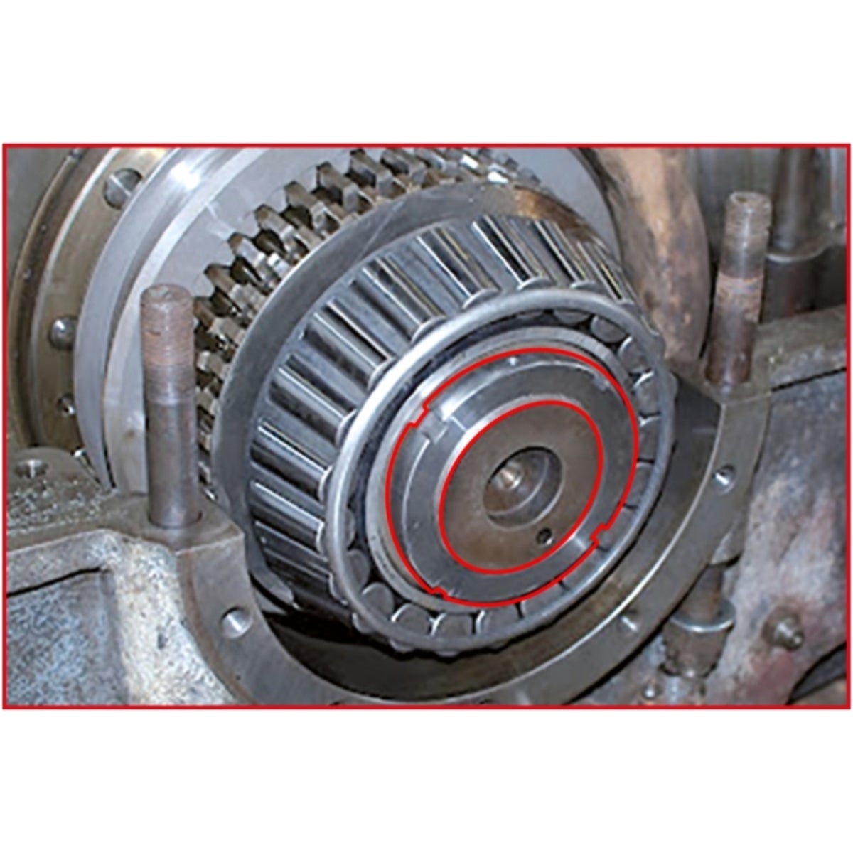 FOT_ANW_ALG_AUTO_450_50X0_0-2__AW3_SALL_AING_V1