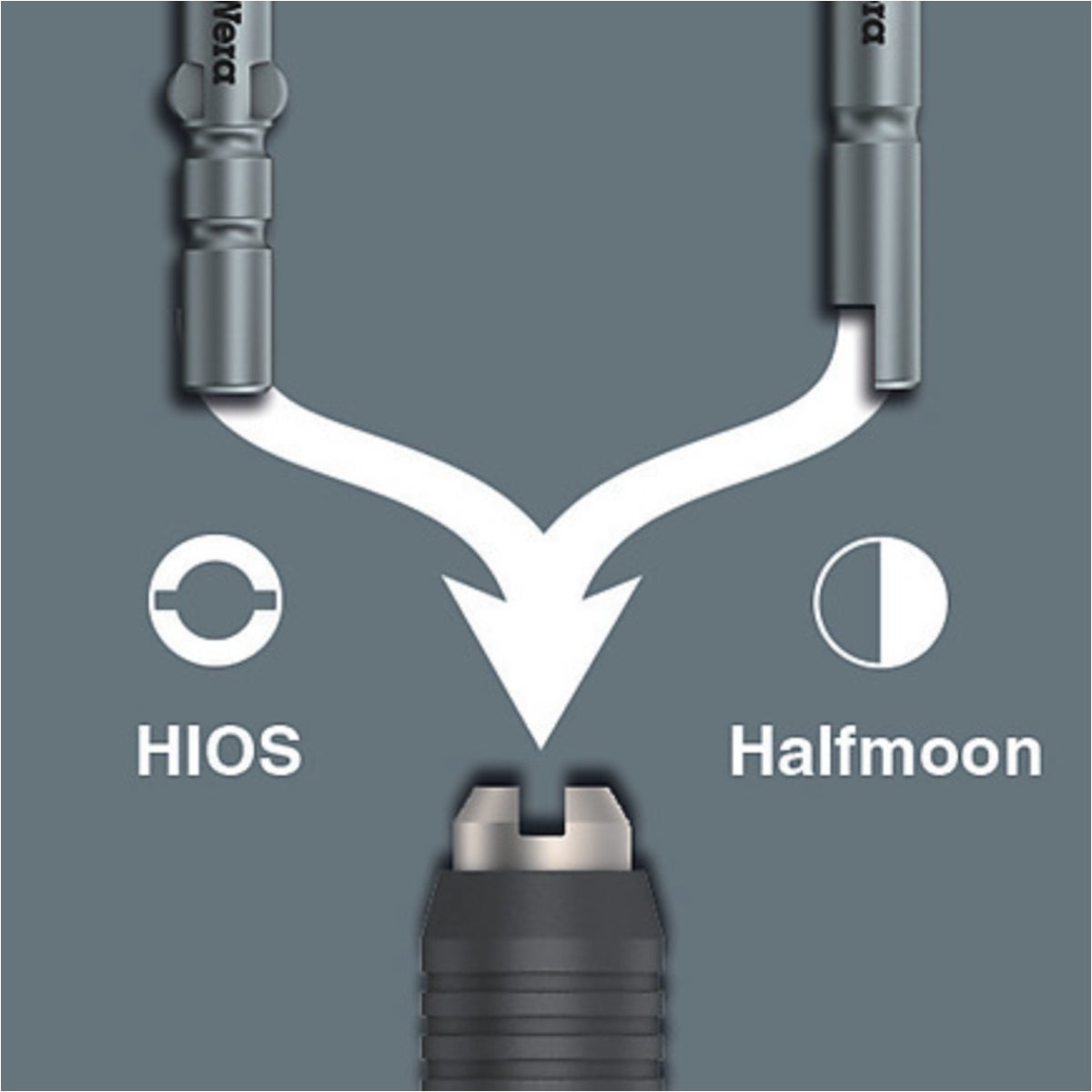 Tipp_Micro_HIOS_Halfmoon-1