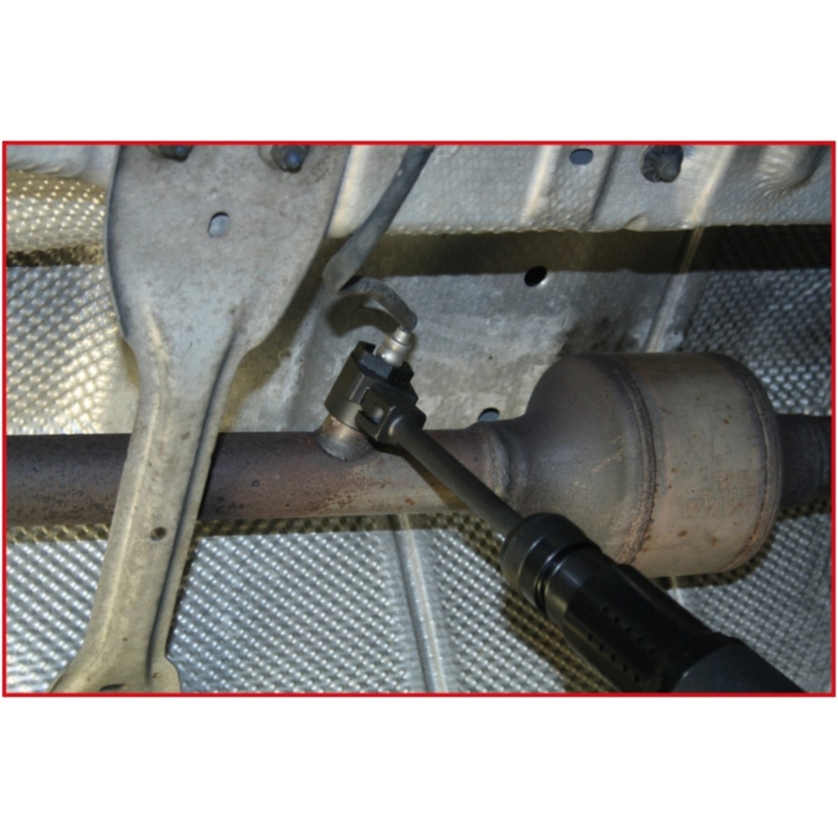FOT_ANW_ALG_AUTO_150_2113_AW2_SALL_AING_V1