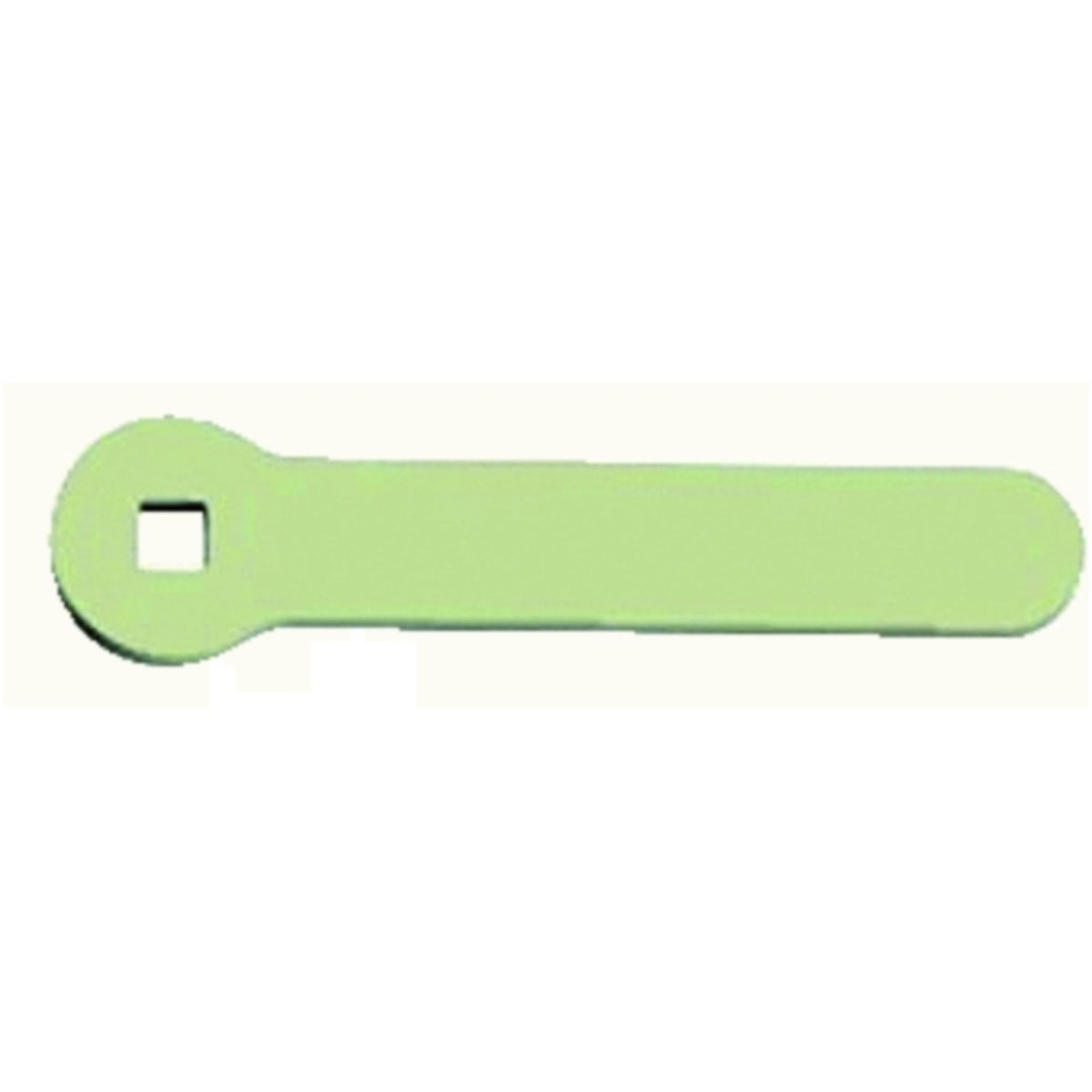 FOT_PRO_ALG_AUTO_150_1492_SALL_AING_V1