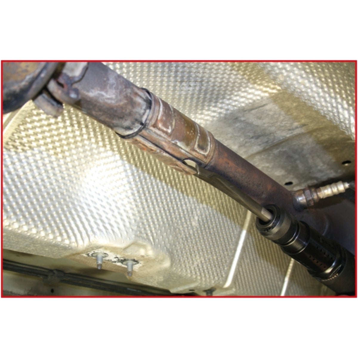 FOT_ANW_ALG_AUTO_515_3962_AW1_SALL_AING_V1