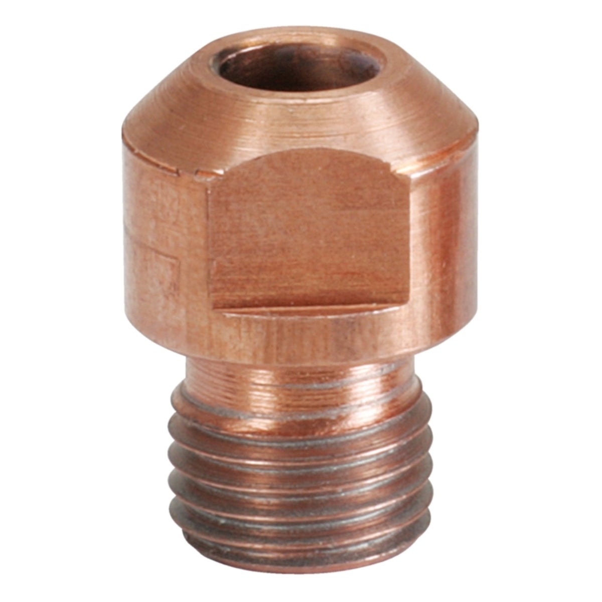 FOT_PRO_ALG_AUTO_500_8556_SALL_AING_V1