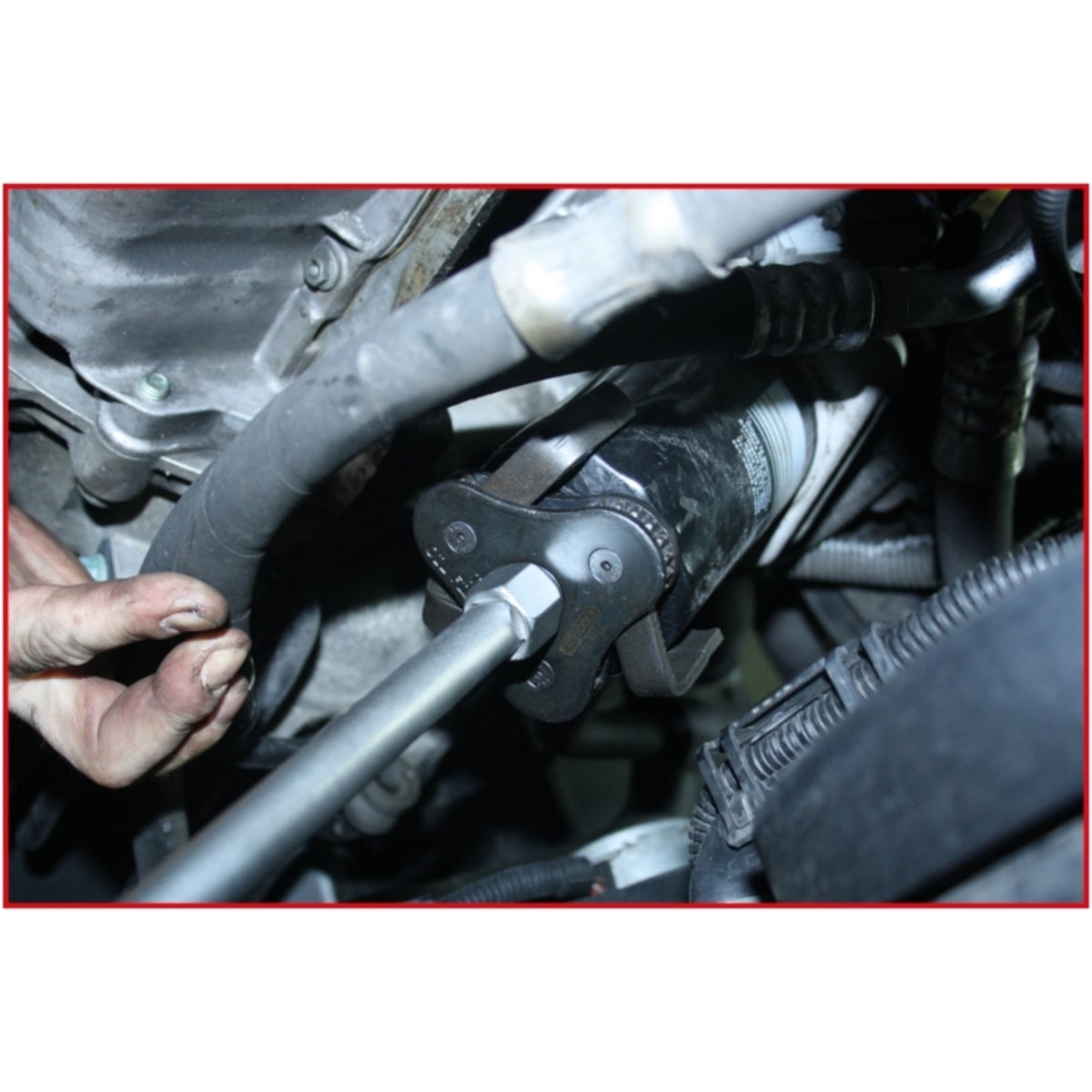 FOT_ANW_ALG_AUTO_150_931X_3-4__AW1_SALL_AING_V1