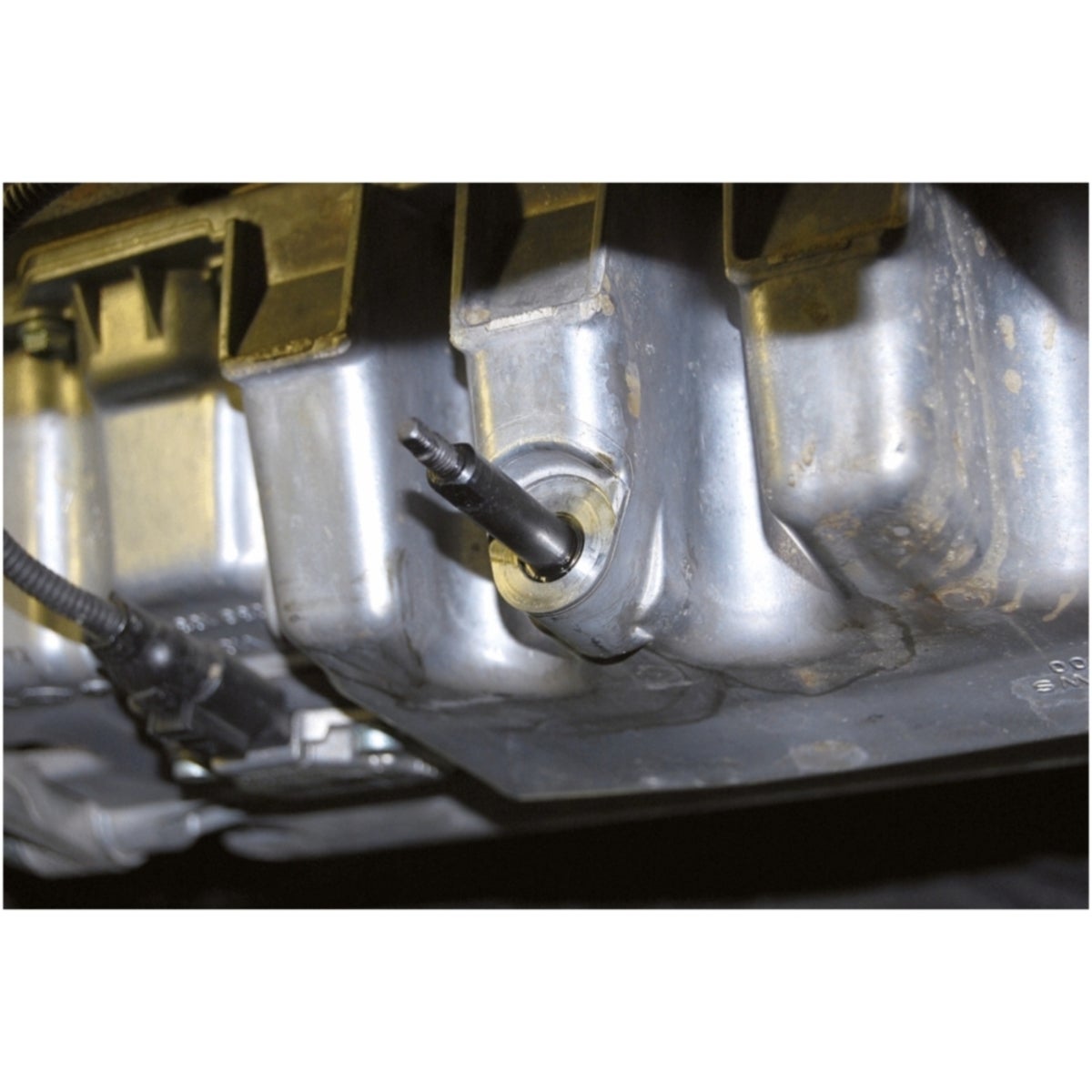 FOT_ANW_ALG_AUTO_150_1485_AW2_SALL_AING_V1