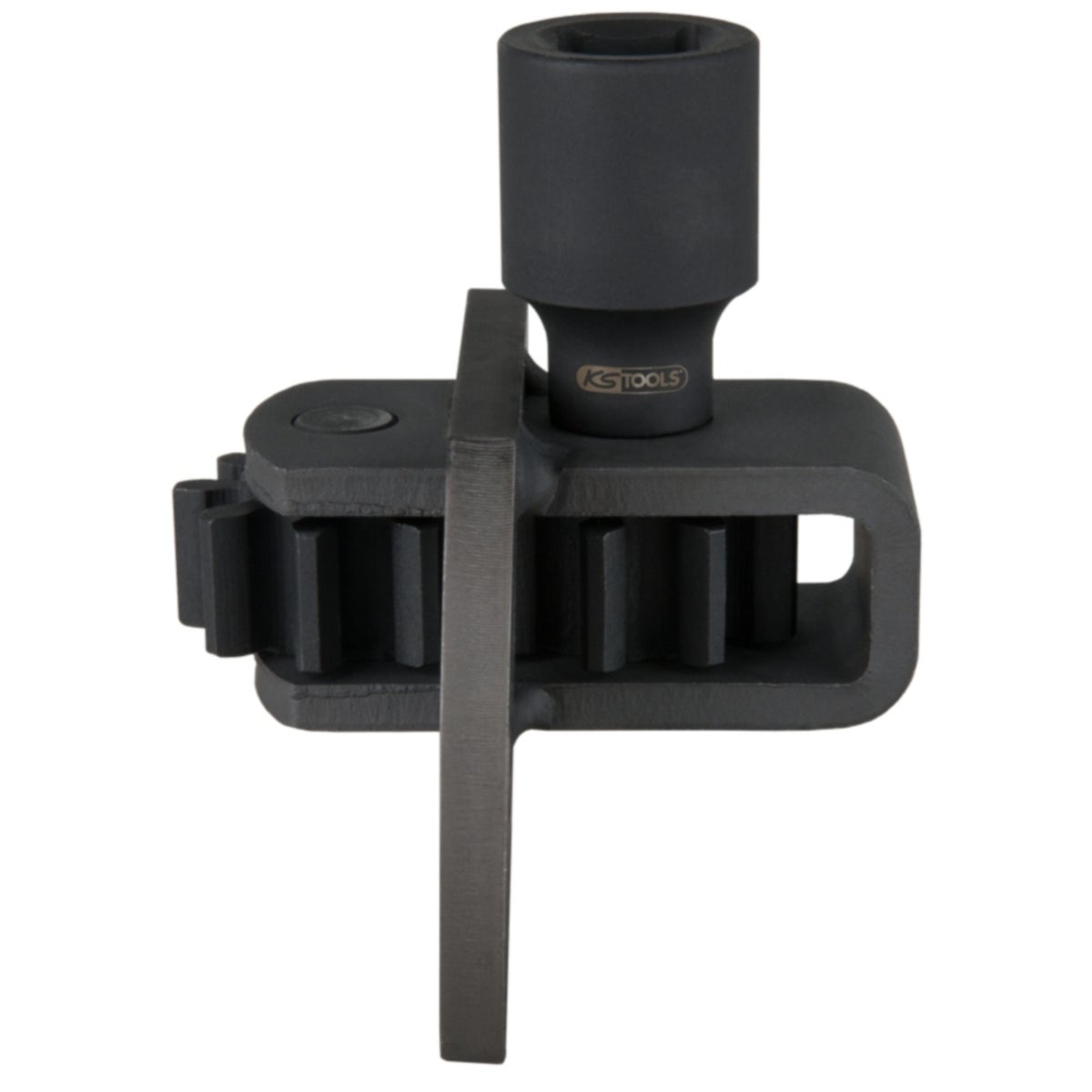 FOT_PRO_ALG_AUTO_455_0020_SALL_AING_V1