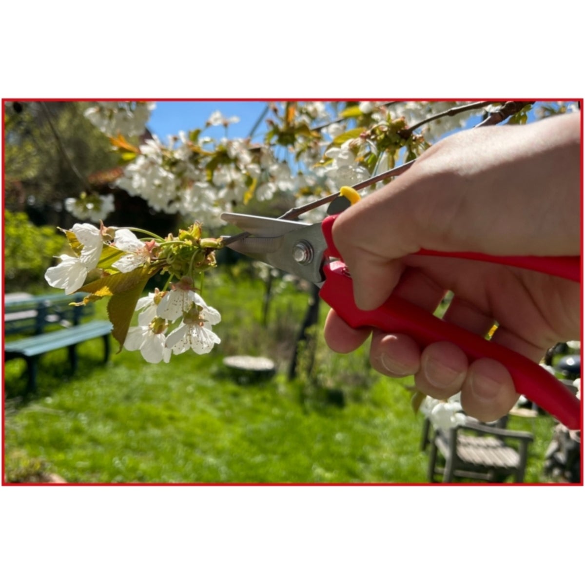 FOT_ANW_ALG_WZAL_118_0071_AW3_SALL_AING_V1