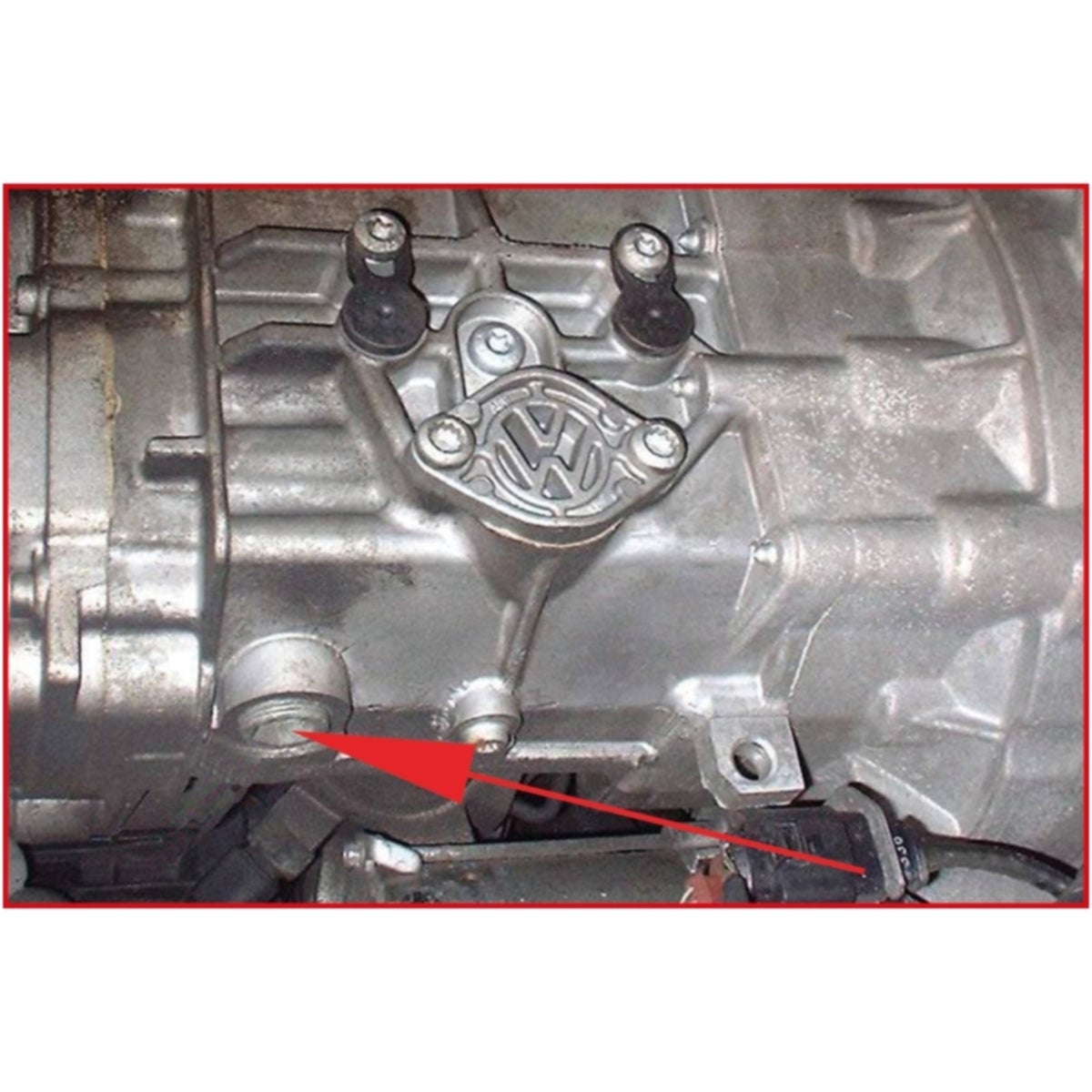 FOT_ANW_ALG_AUTO_150_9237_AW1_SALL_AING_V1