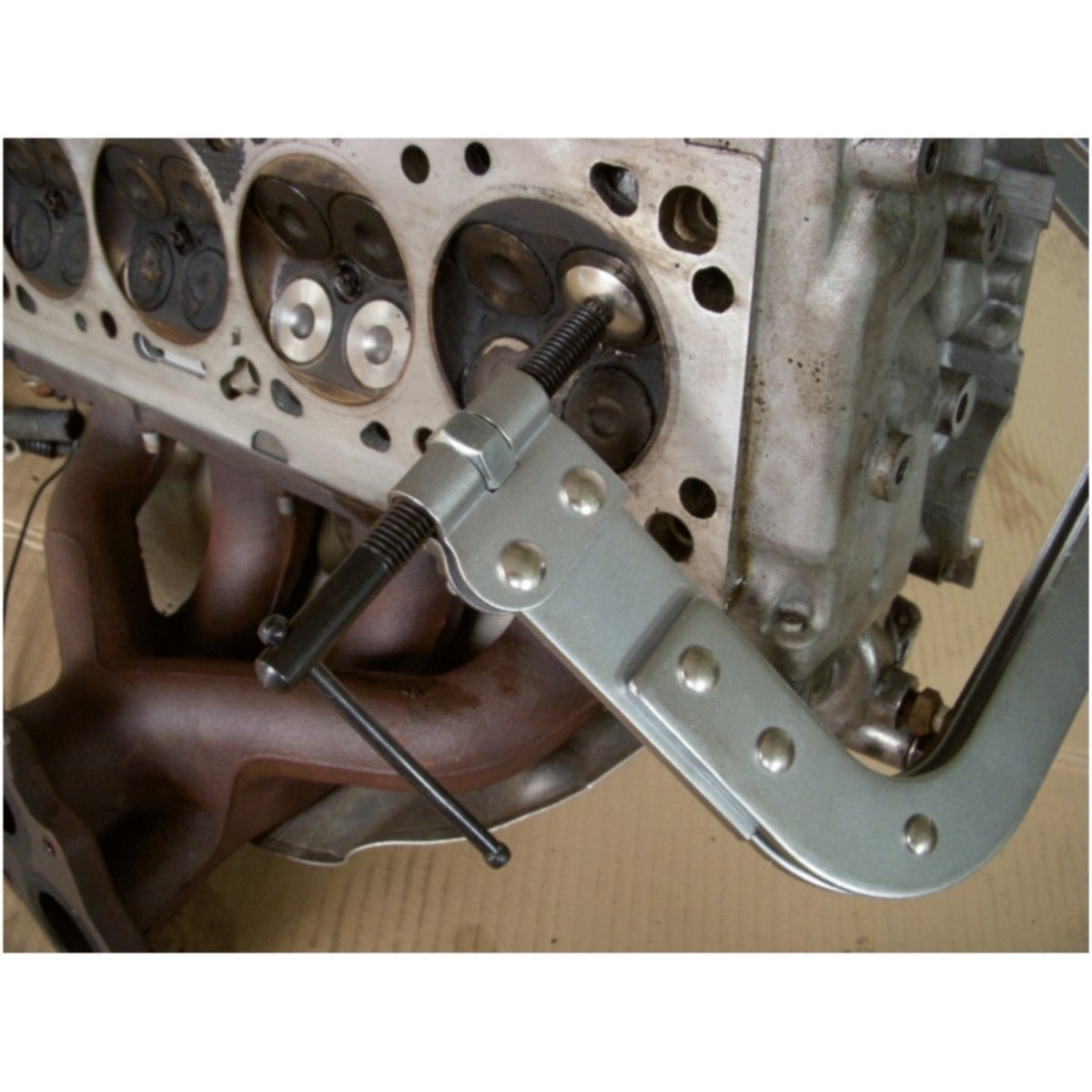 FOT_ANW_ALG_AUTO_150_1135_AW3_SALL_AING_V1