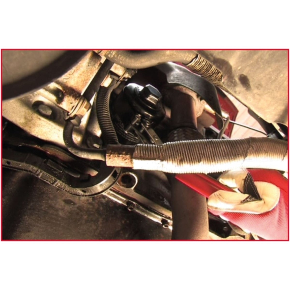 FOT_ANW_ALG_AUTO_150_937X_7-9__AW3_SALL_AING_V1