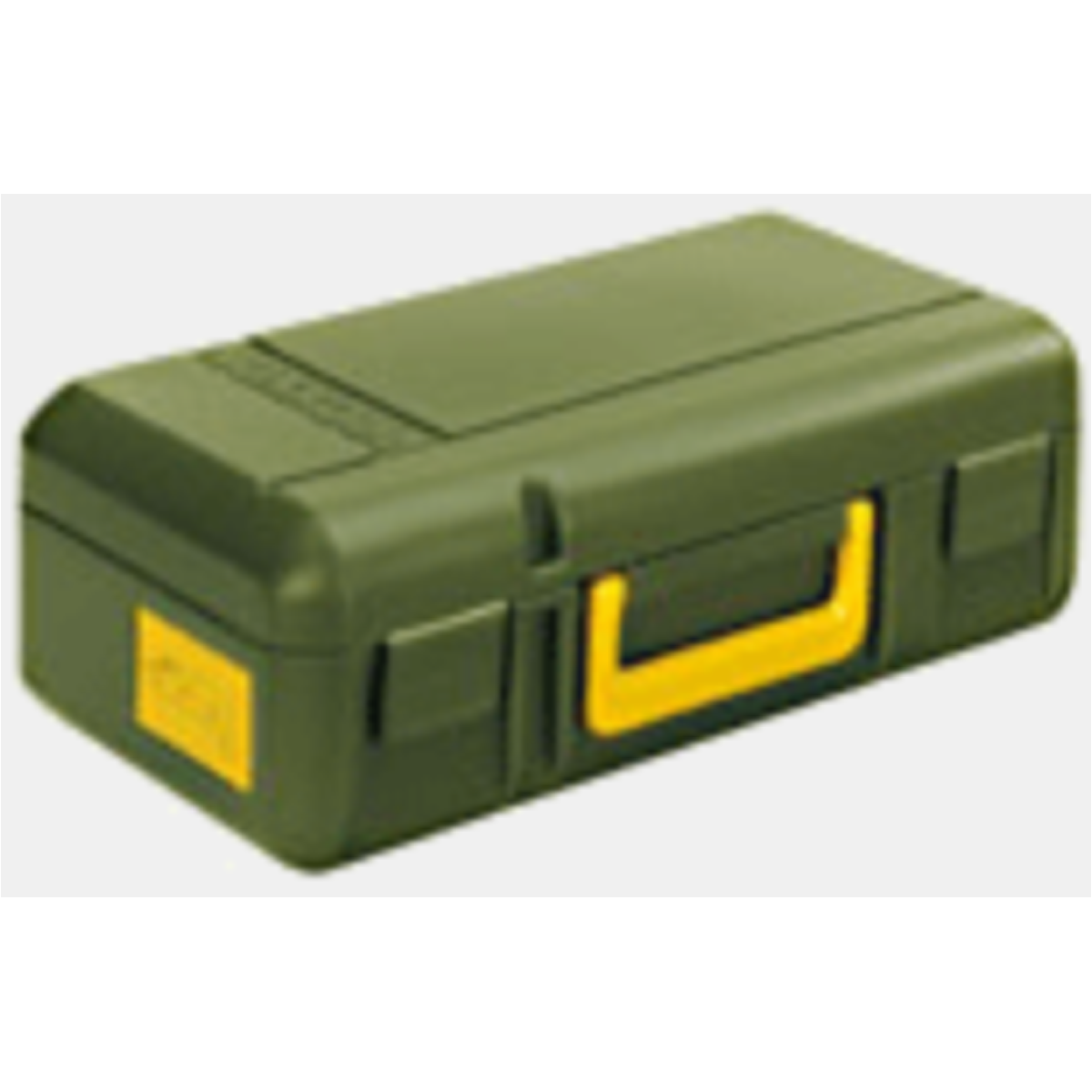 29810_case