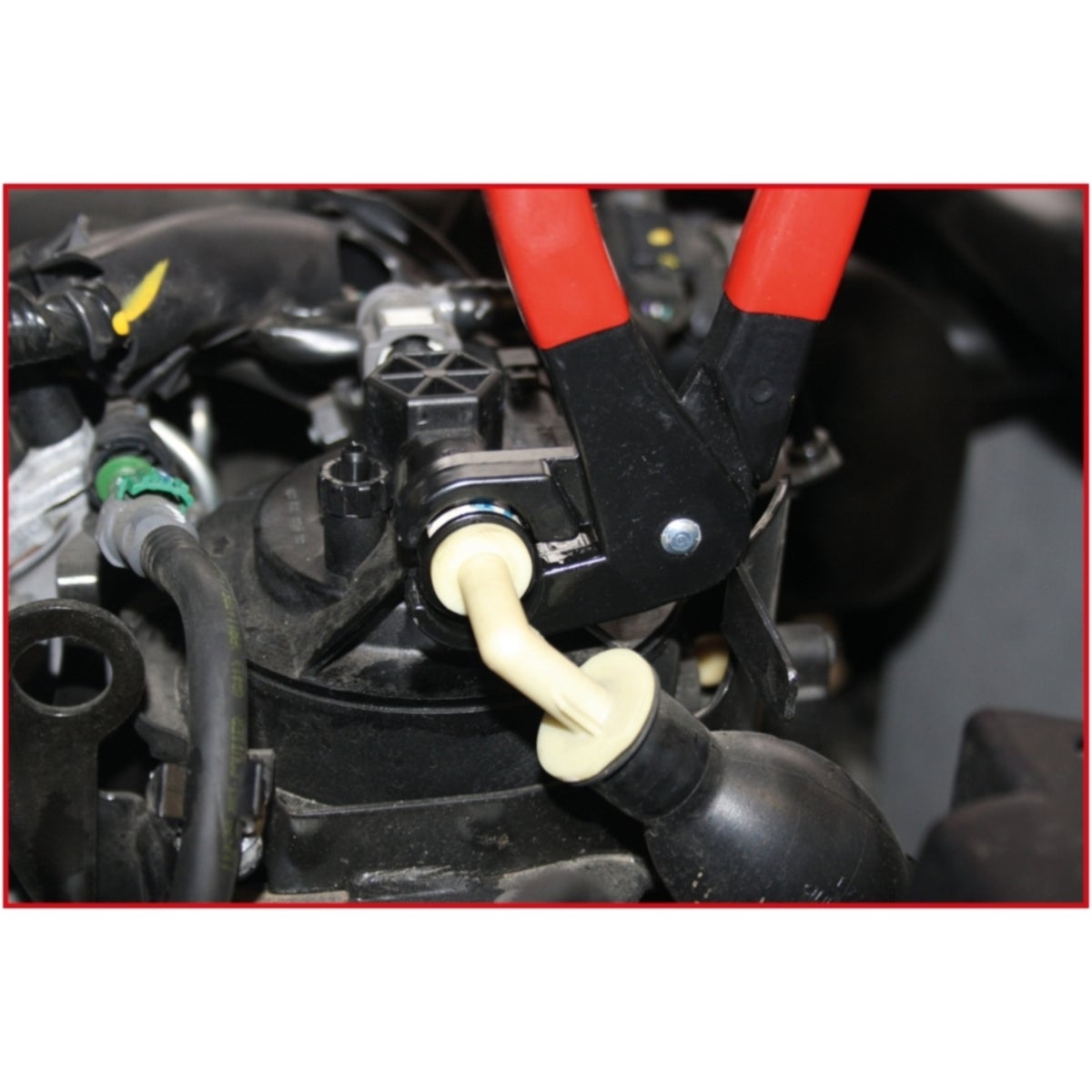 FOT_ANW_ALG_AUTO_115_1099_AW1_SALL_AING_V1