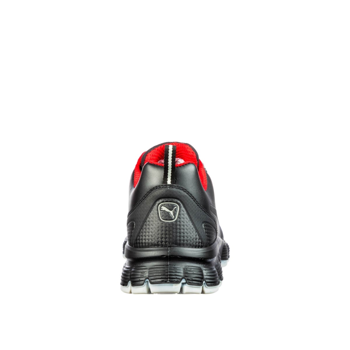 640521_PIONEER_LOW_202_back_WEB
