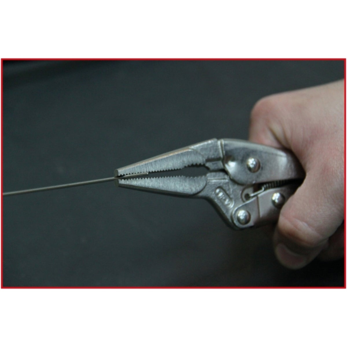 FOT_ANW_ALG_AUTO_115_103X_4-5__AW2_SALL_AING_V1