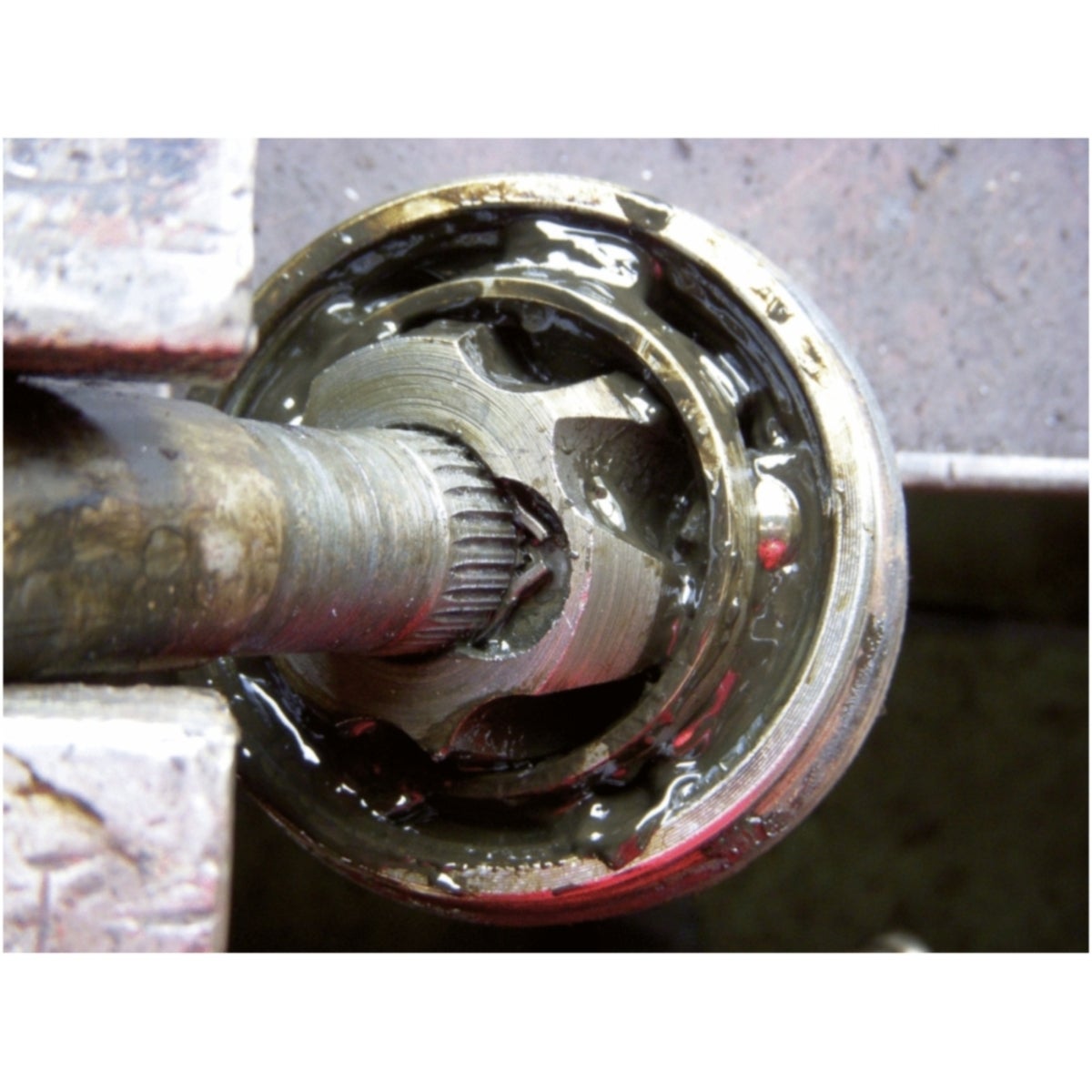 FOT_ANW_ALG_ZA_115_0990_AW2_SALL_AING_V1