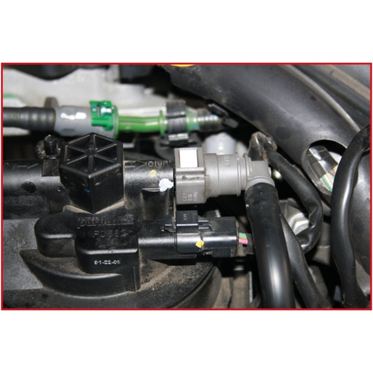 FOT_ANW_ALG_AUTO_115_1094_AW4_SALL_AING_V1